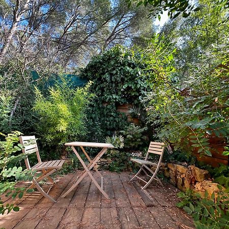 Charmant Studio Lodge Climatise Avec Jardin Et Vue Sur Le Pic Saint Loup Jacou Eksteriør bilde
